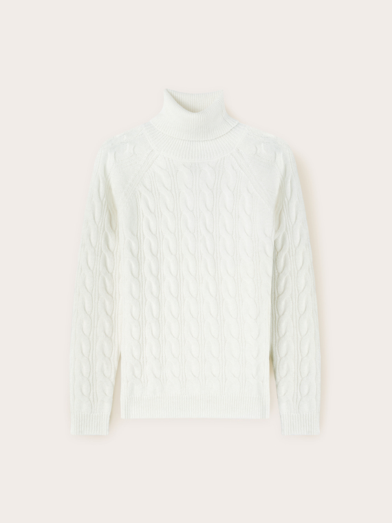 Cable knit turtle neck