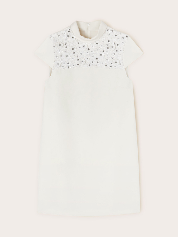 Minidress with embroidered collar